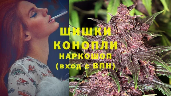 стафф Бронницы